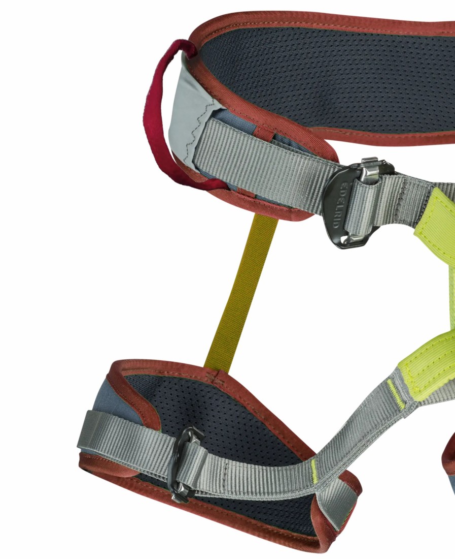 Sport EDELRID | Zack Gym